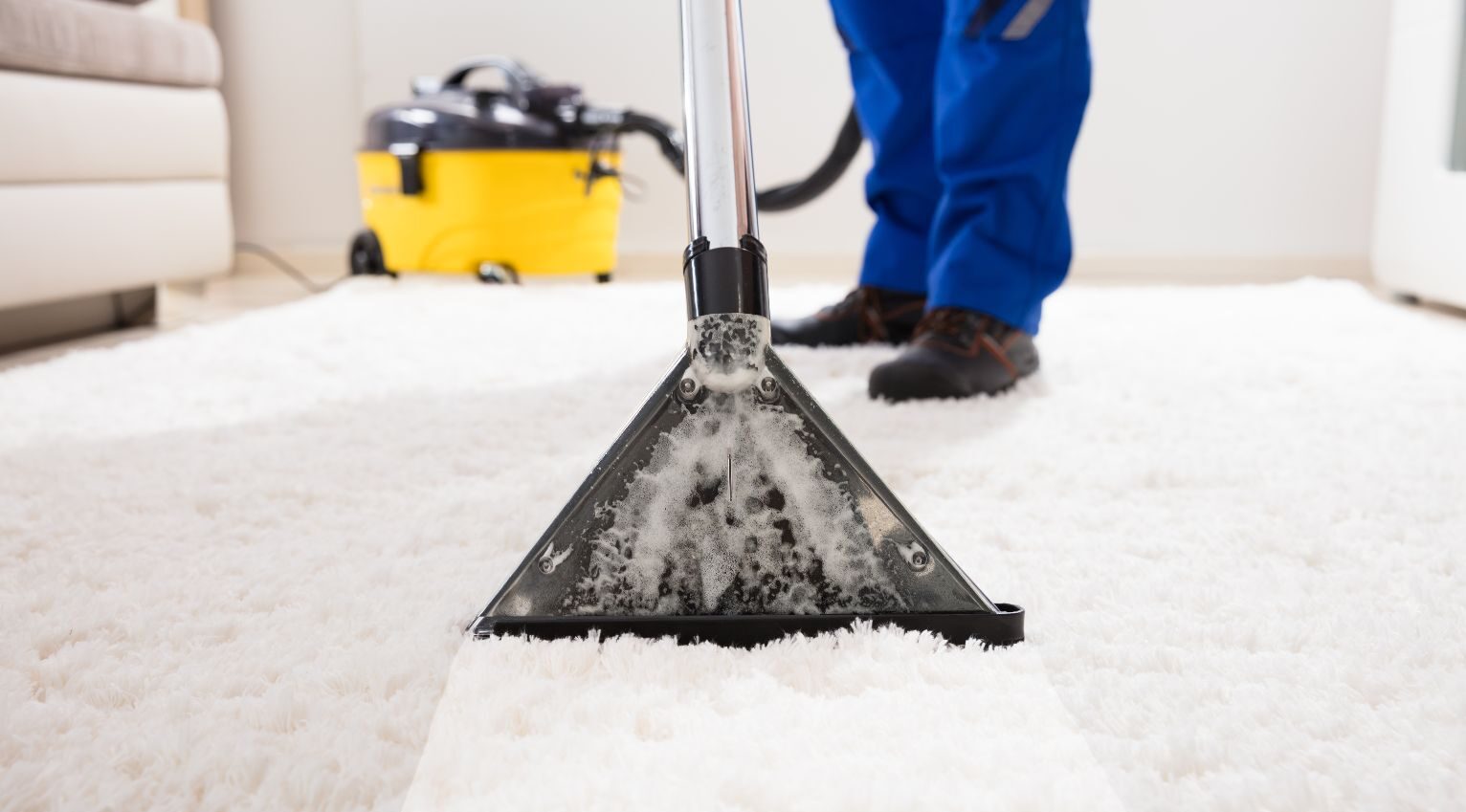 carpet cleaning